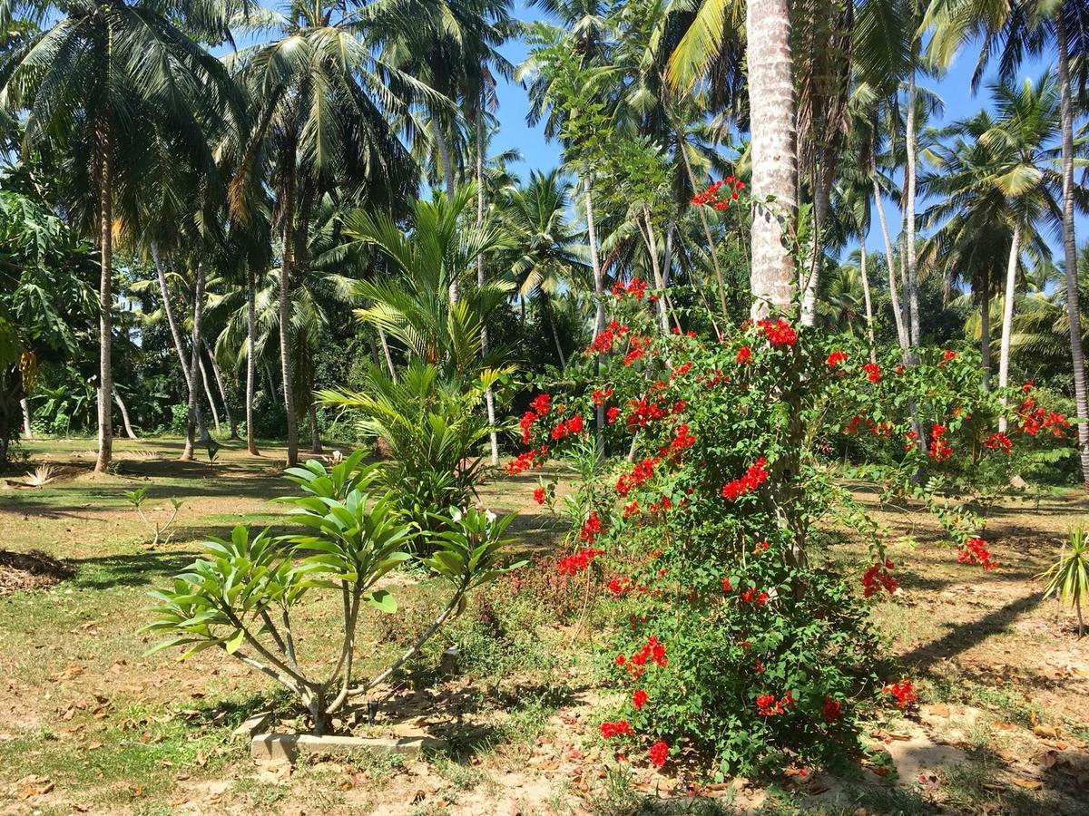 Anuhas Airport Villas Katunayaka Bagian luar foto