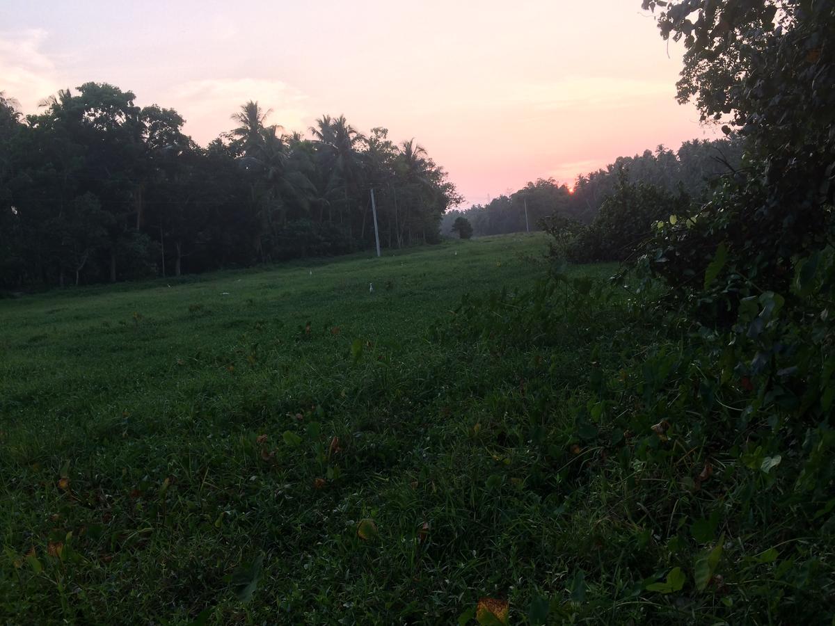 Anuhas Airport Villas Katunayaka Bagian luar foto