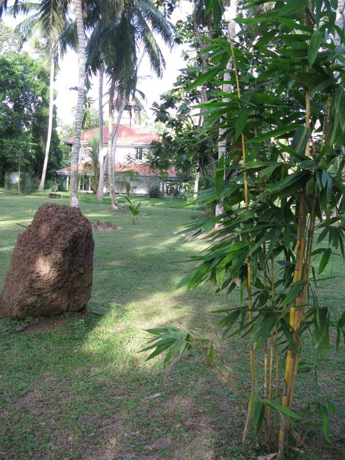 Anuhas Airport Villas Katunayaka Bagian luar foto