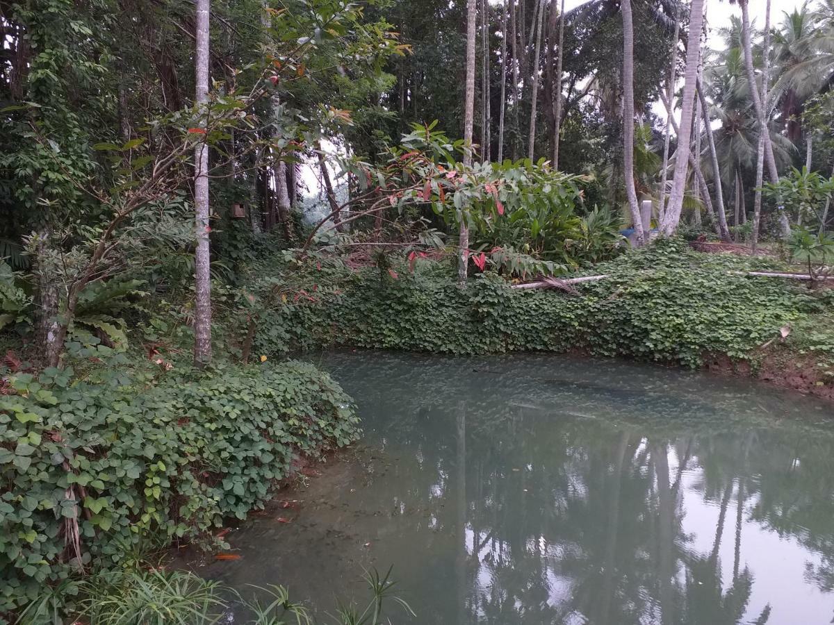 Anuhas Airport Villas Katunayaka Bagian luar foto