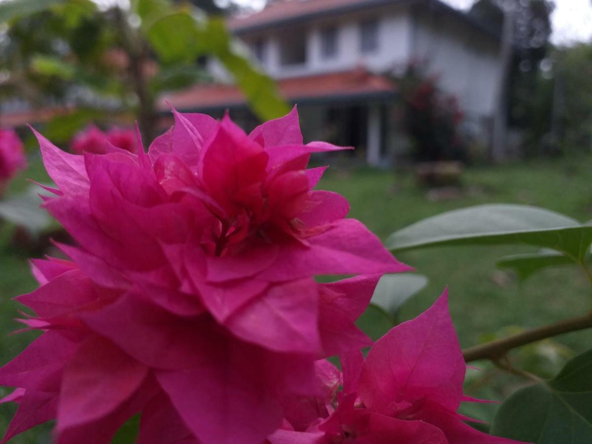 Anuhas Airport Villas Katunayaka Bagian luar foto
